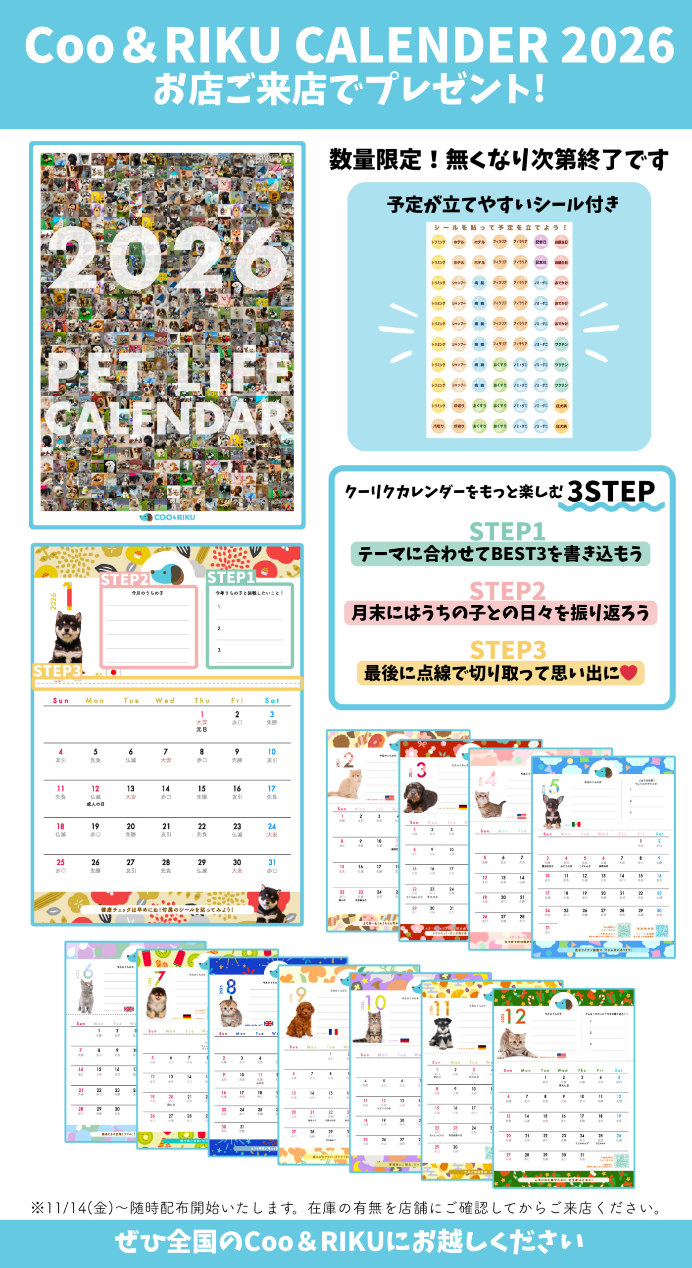 ペットショップCoo＆Riku | 2026年クーリクカレンダー全国の店舗にて | カレンダー2026 無料配布