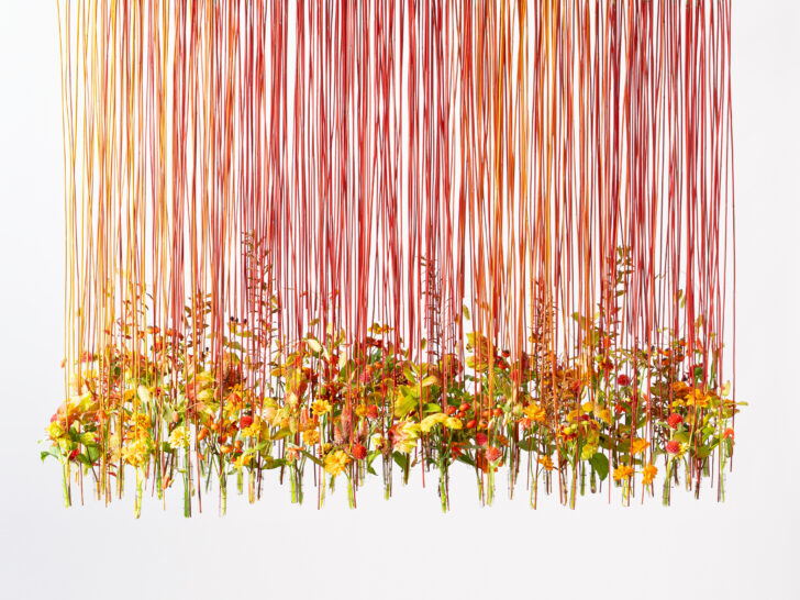 紅葉カレンダー 2026