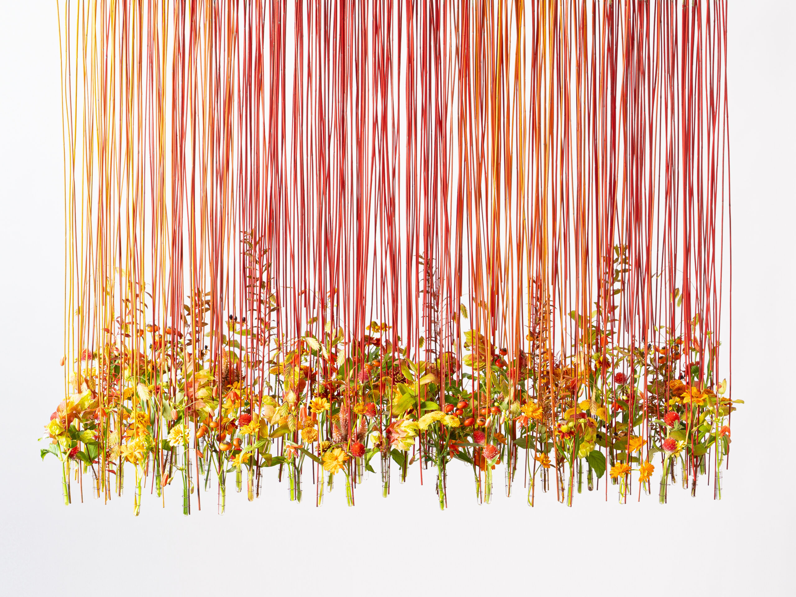 青森・蔦沼の紅葉に見立てる（第一園芸2026年カレンダー10月） | Works | 紅葉カレンダー 2026